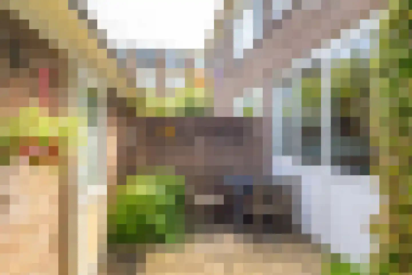 Briljantlaan 32 Utrecht thumbnail 29