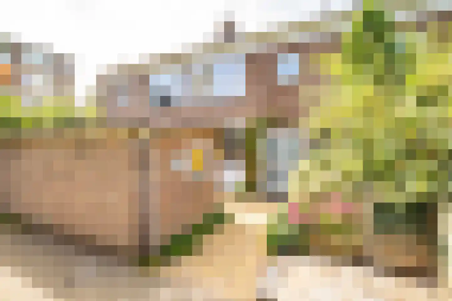 Briljantlaan 32 Utrecht thumbnail 30