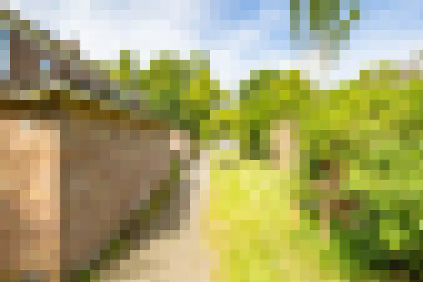 Briljantlaan 32 Utrecht thumbnail 31