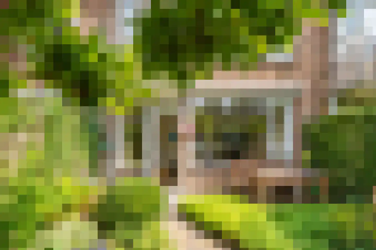 Briljantlaan 32 Utrecht thumbnail 34