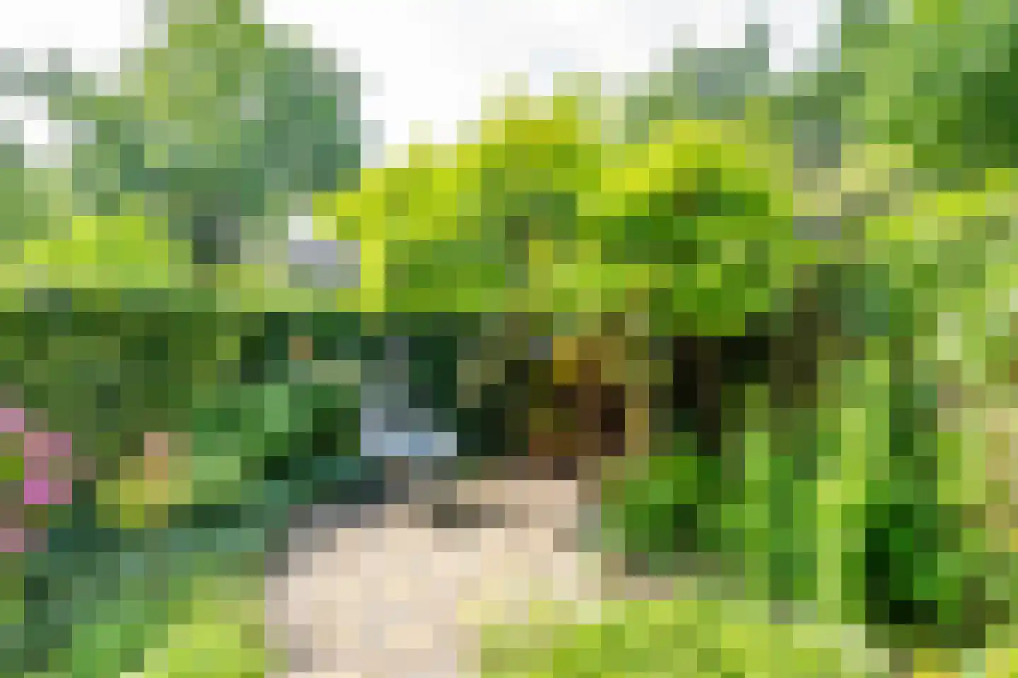 Briljantlaan 32 Utrecht thumbnail 36