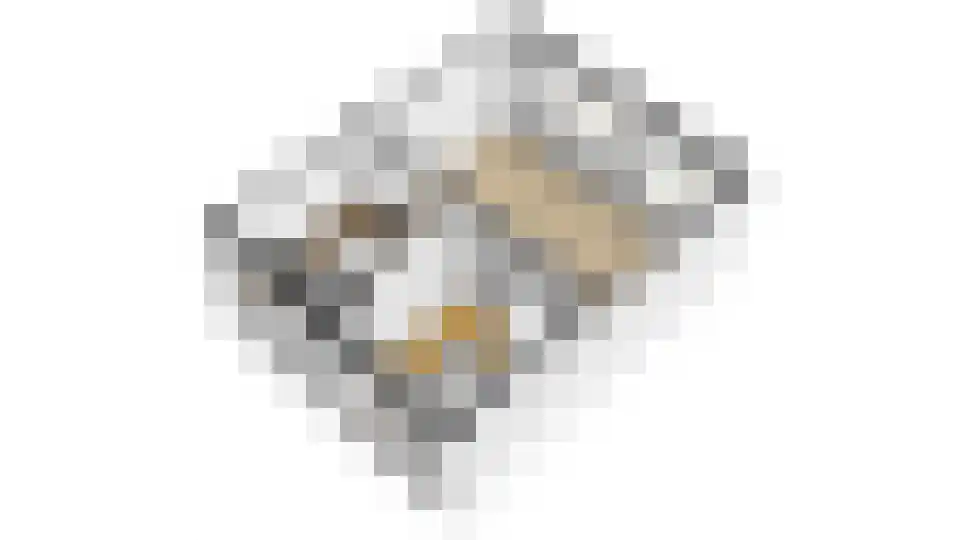 Briljantlaan 32 Utrecht thumbnail 39