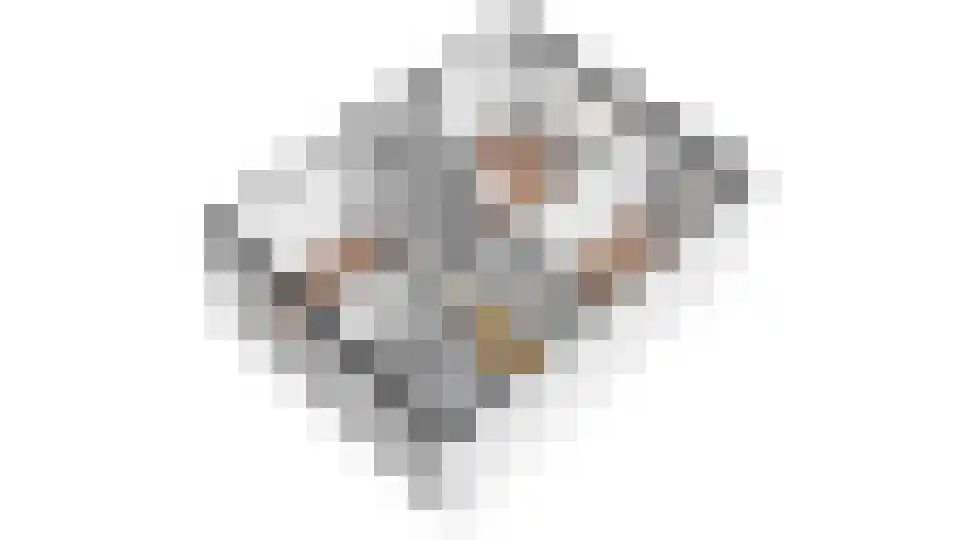 Briljantlaan 32 Utrecht thumbnail 42