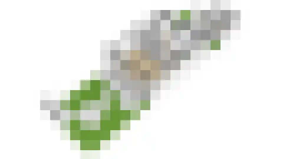 Briljantlaan 32 Utrecht thumbnail 44