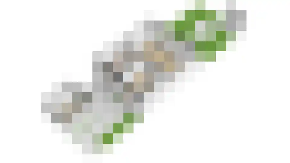 Briljantlaan 32 Utrecht thumbnail 45