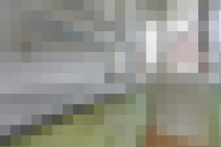 Briljantlaan 36 Utrecht thumbnail 18