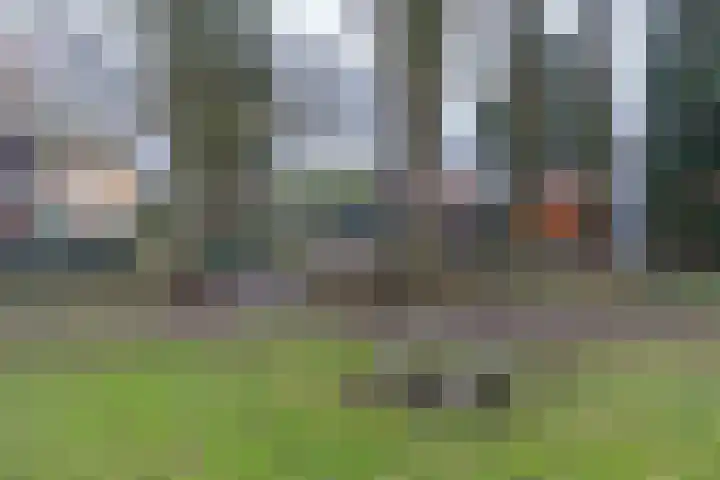 Briljantlaan 36 Utrecht thumbnail 36