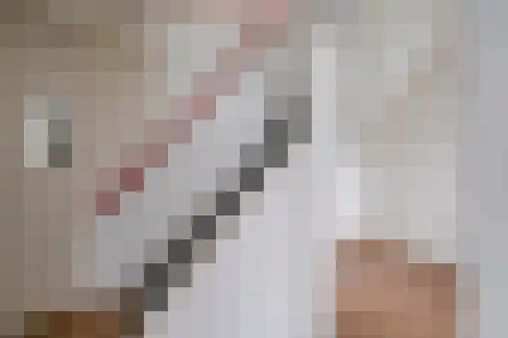 Briljantlaan 76 Utrecht thumbnail 17