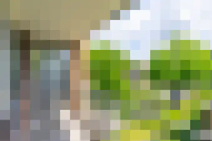 Briljantlaan 76 Utrecht thumbnail 26