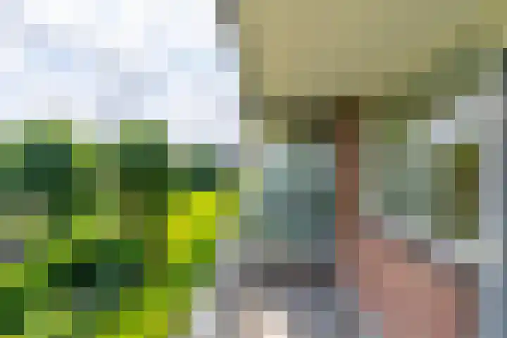Briljantlaan 76 Utrecht thumbnail 27