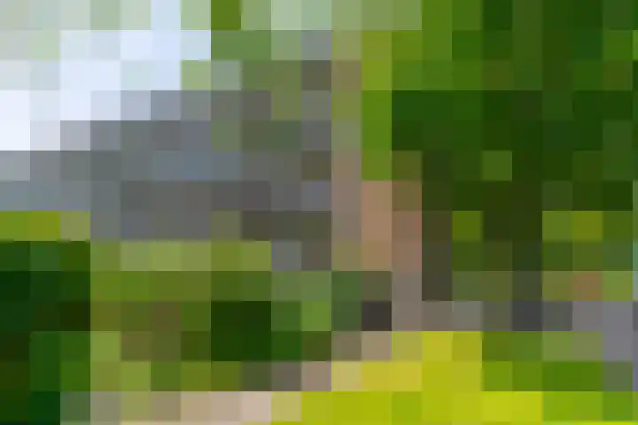 Briljantlaan 76 Utrecht thumbnail 35