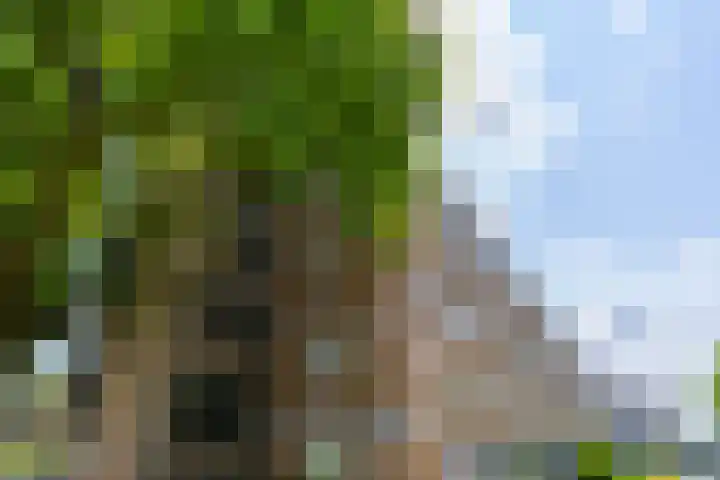 Briljantlaan 76 Utrecht thumbnail 36