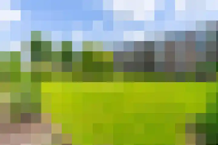 Briljantlaan 76 Utrecht thumbnail 42