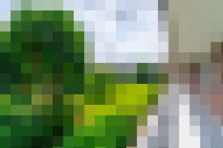 Briljantlaan 76 Utrecht thumbnail 5
