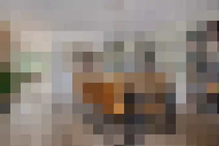 Briljantstoep 12 Assen thumbnail 11