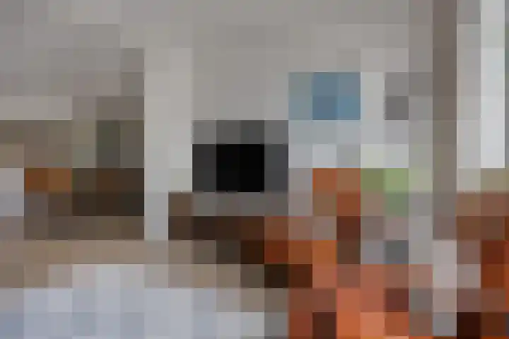 Briljantstoep 12 Assen thumbnail 15