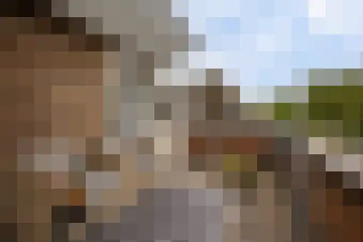 Briljantstoep 12 Assen thumbnail 34