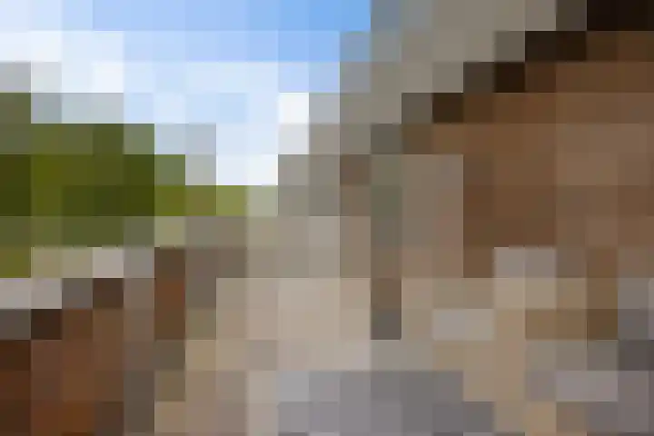 Briljantstoep 12 Assen thumbnail 35