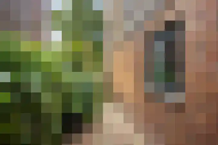 Briljantstoep 12 Assen thumbnail 42