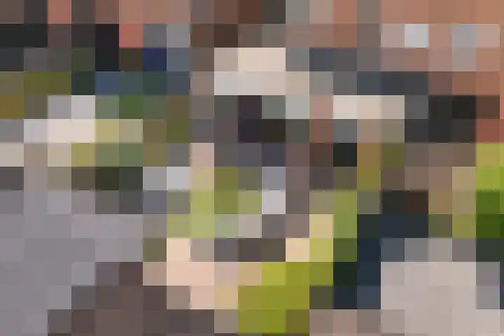 Briljantstoep 12 Assen thumbnail 43