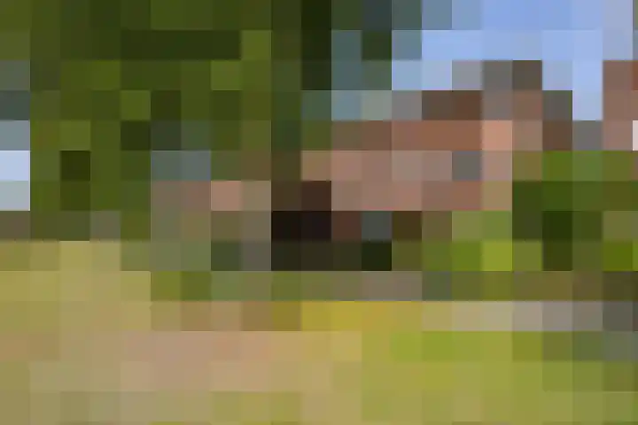 Briljantstoep 12 Assen thumbnail 5