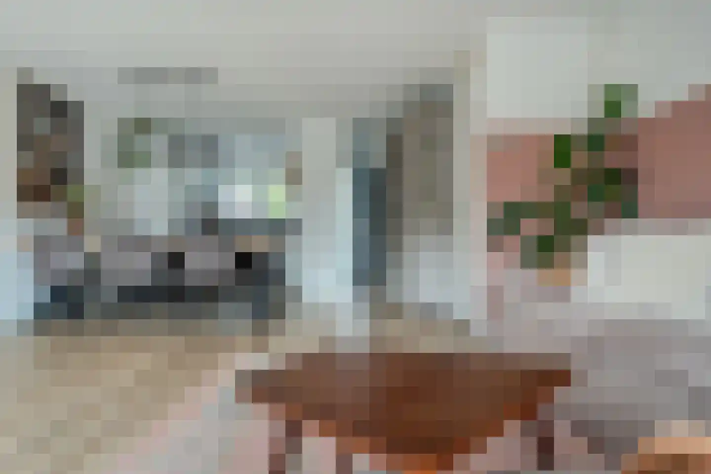 Briljantstoep 19 Assen thumbnail 14