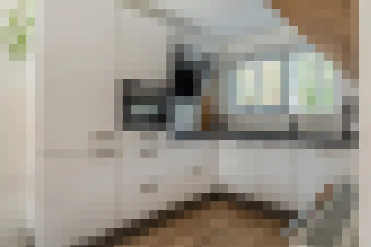 Briljantstoep 19 Assen thumbnail 17