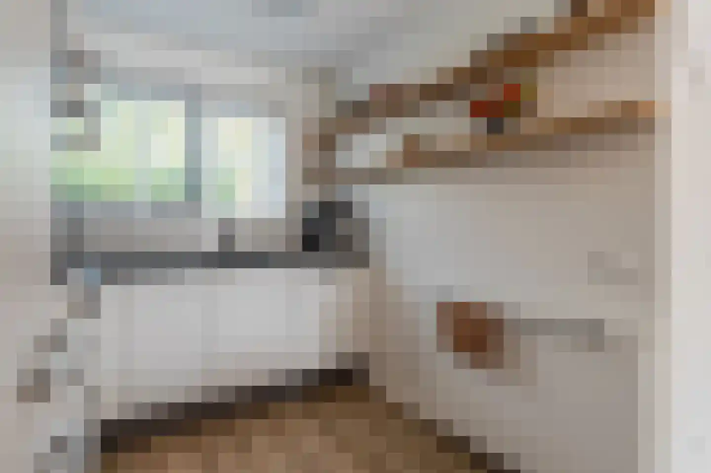 Briljantstoep 19 Assen thumbnail 18
