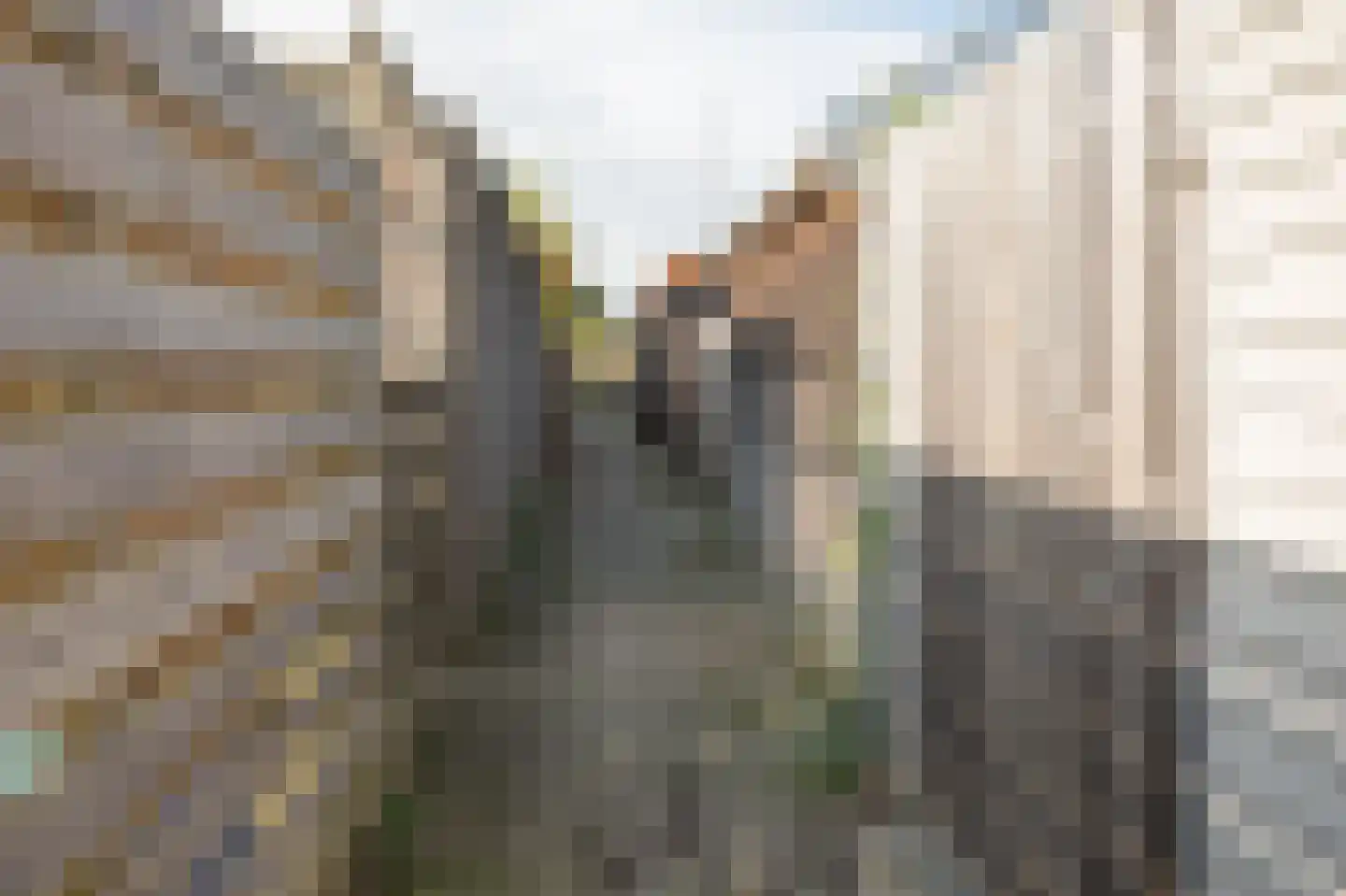 Briljantstoep 19 Assen thumbnail 45