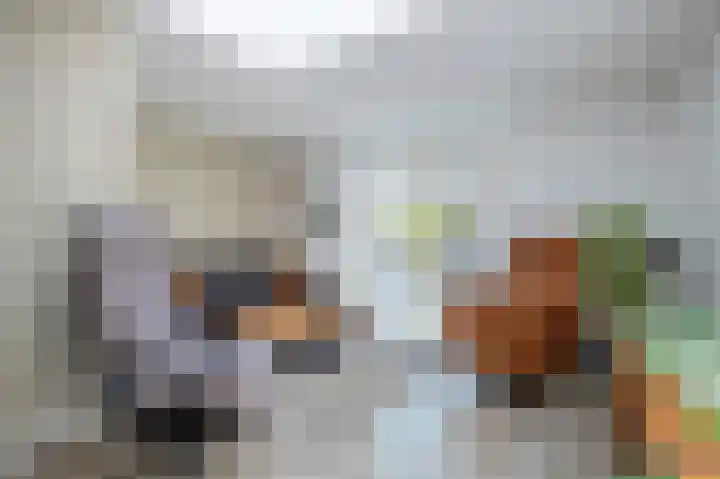 Briljantstoep 51 Assen thumbnail 24