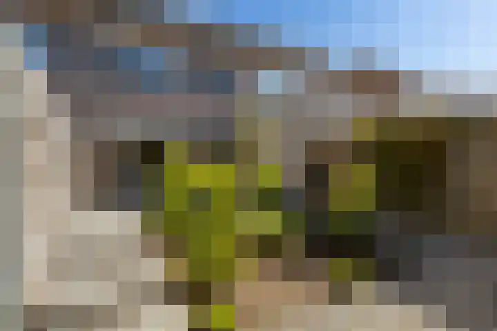 Briljantstoep 53 Assen thumbnail 32