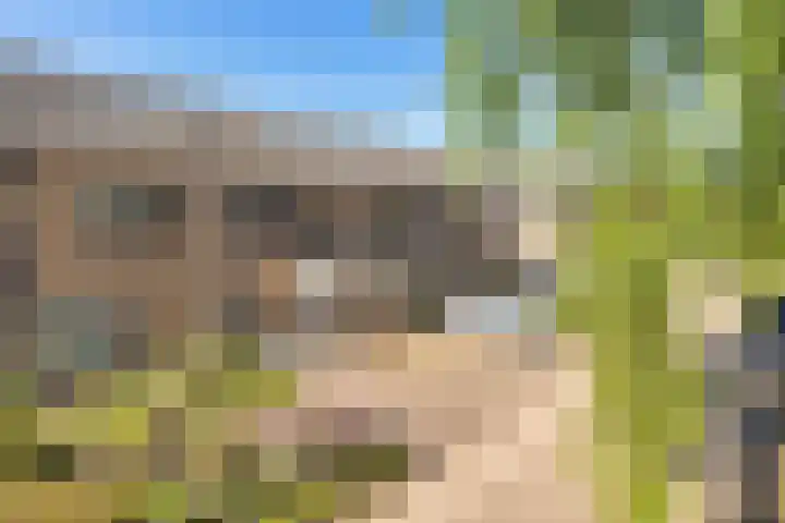 Briljantstoep 53 Assen thumbnail 37