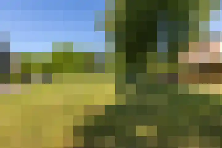 Briljantstoep 53 Assen thumbnail 4