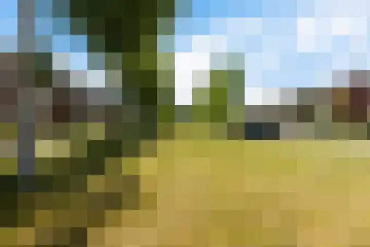 Briljantstoep 53 Assen thumbnail 41