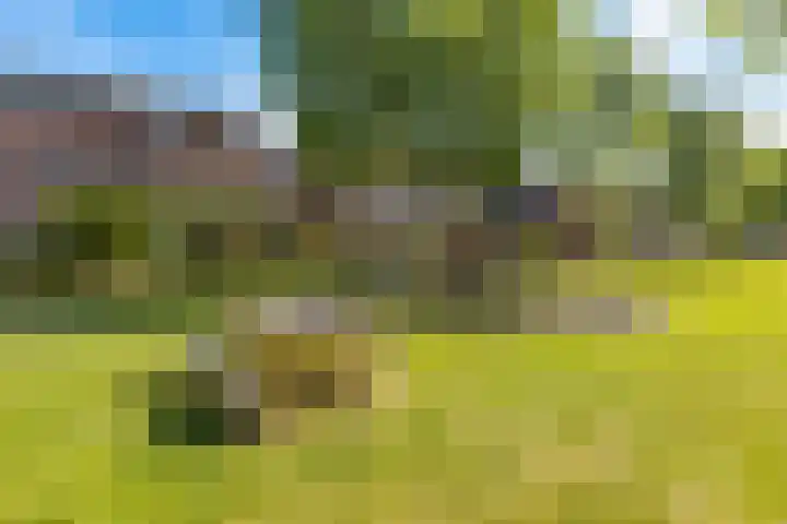 Briljantstoep 53 Assen thumbnail 42