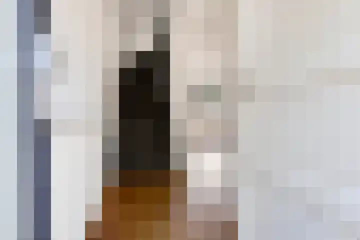 Briljantstoep 53 Assen thumbnail 8