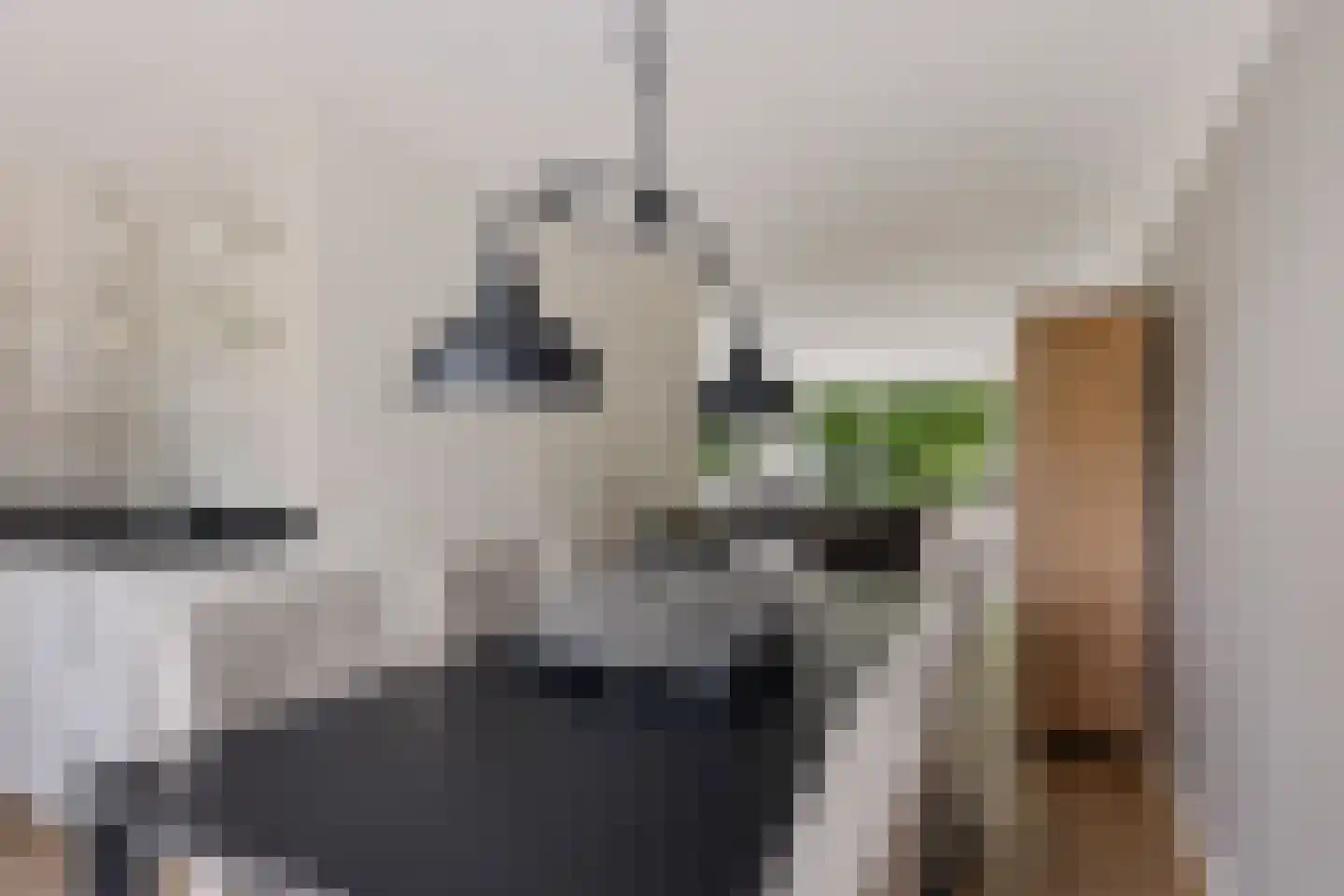Briljantstoep 77 Assen thumbnail 11