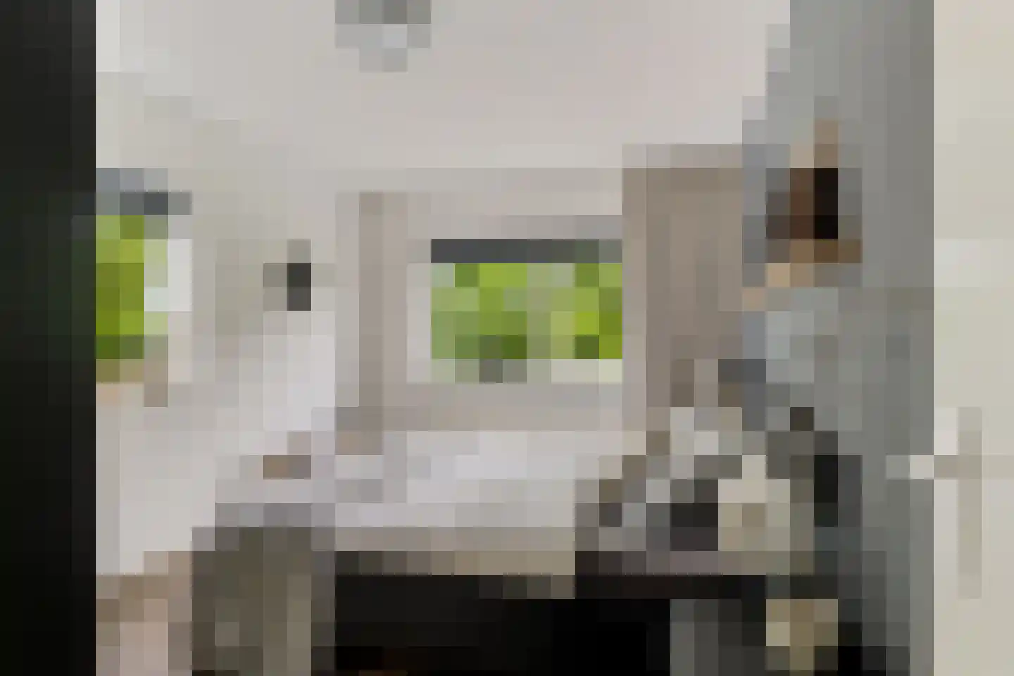 Briljantstoep 77 Assen thumbnail 20