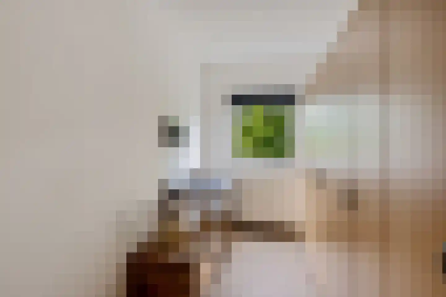 Briljantstoep 77 Assen thumbnail 26