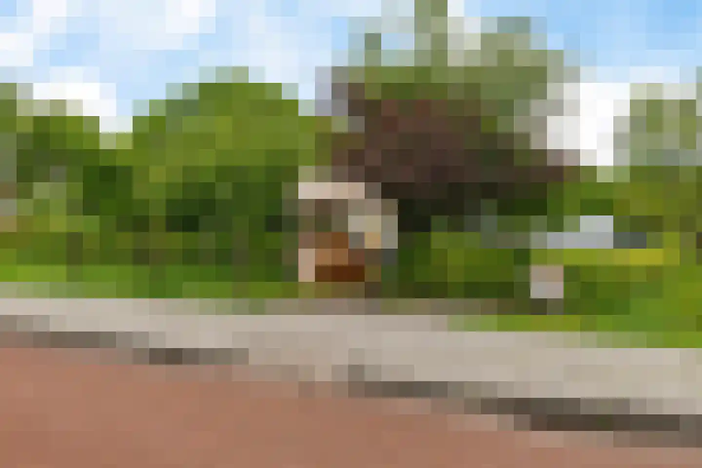 Briljantstoep 77 Assen thumbnail 34