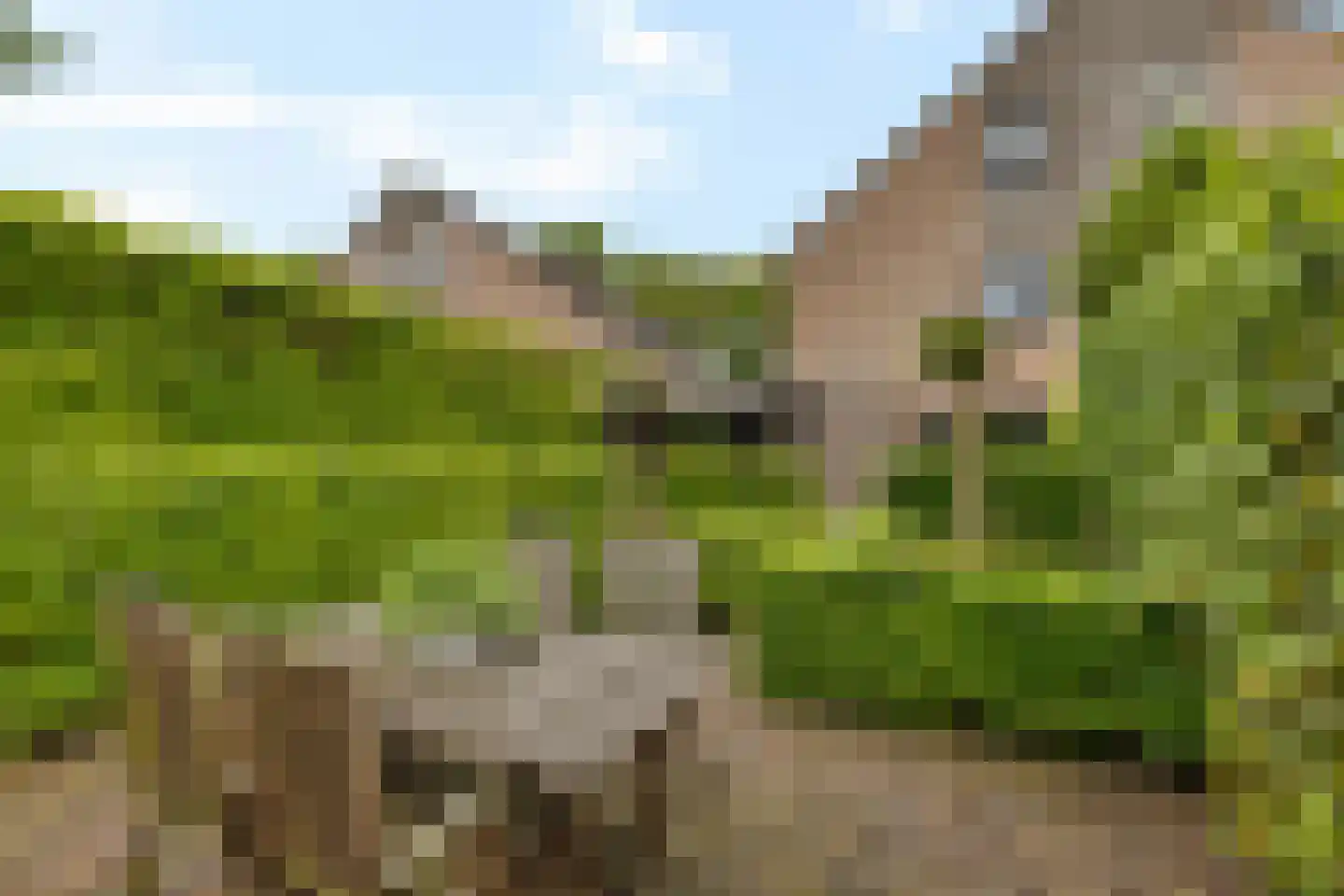 Briljantstoep 77 Assen thumbnail 39