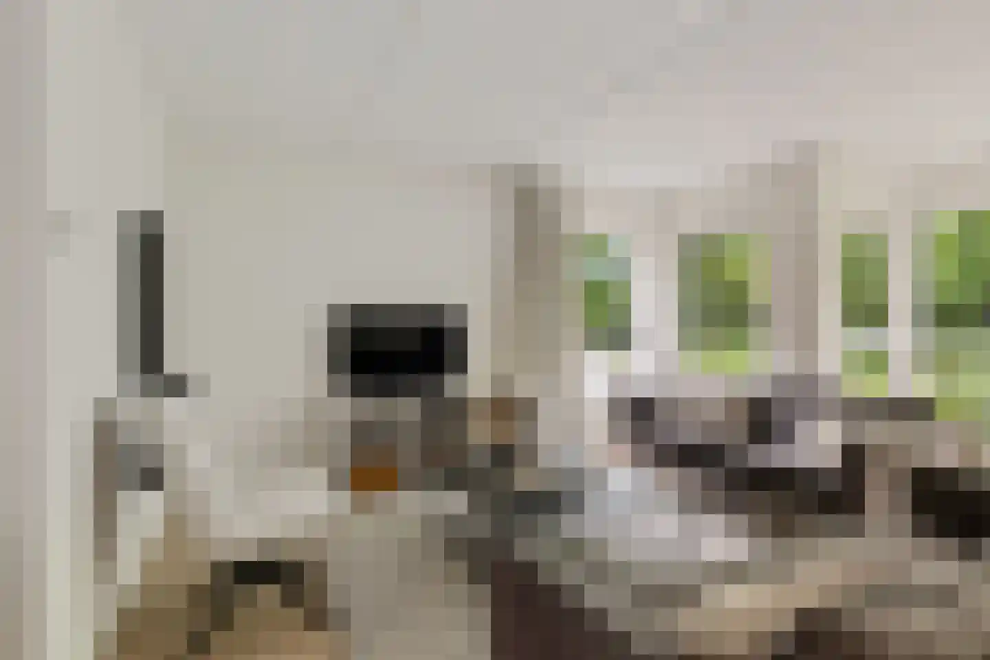 Briljantstoep 77 Assen thumbnail 6