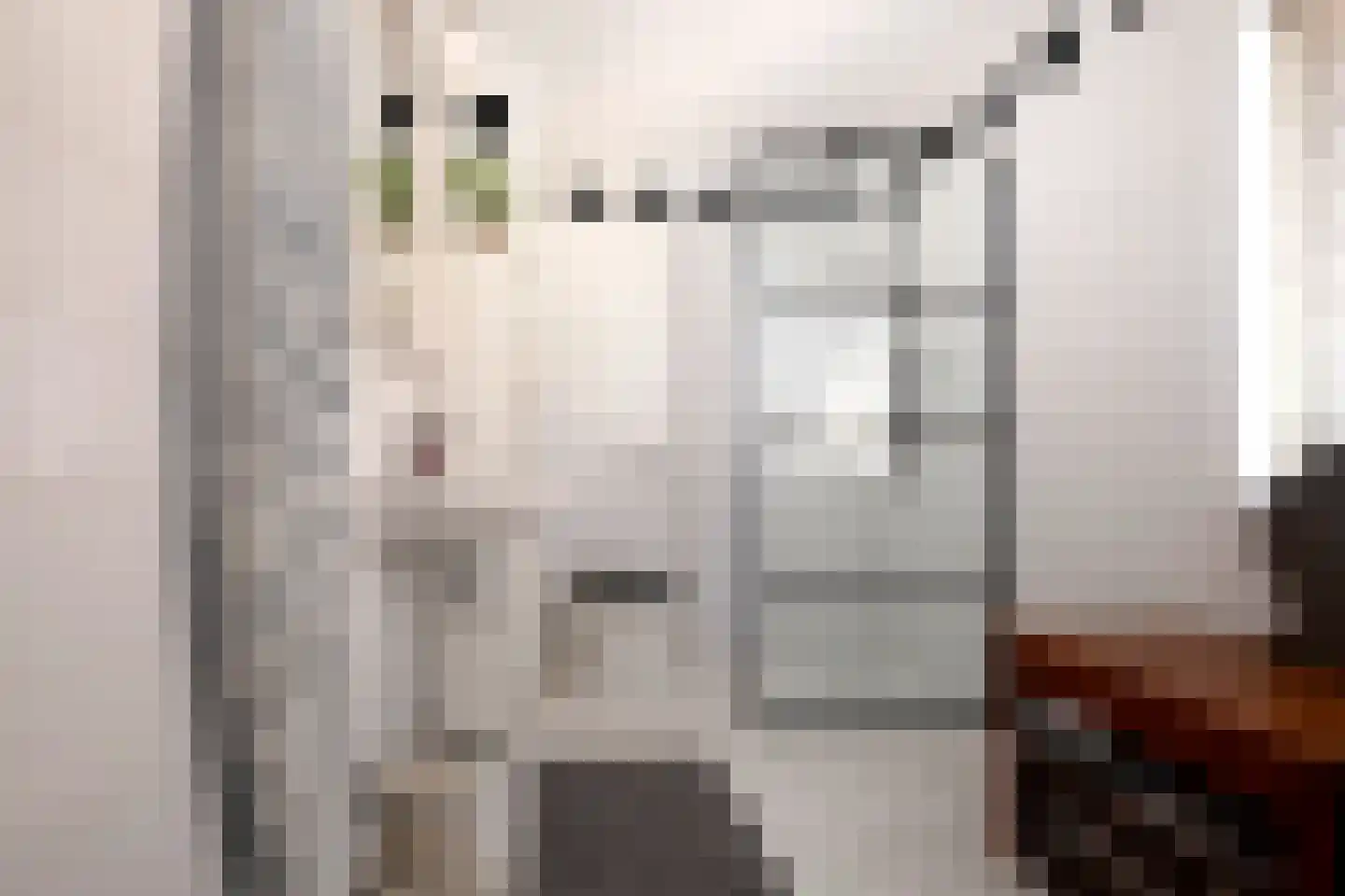 Briljantstoep 89 Assen thumbnail 37