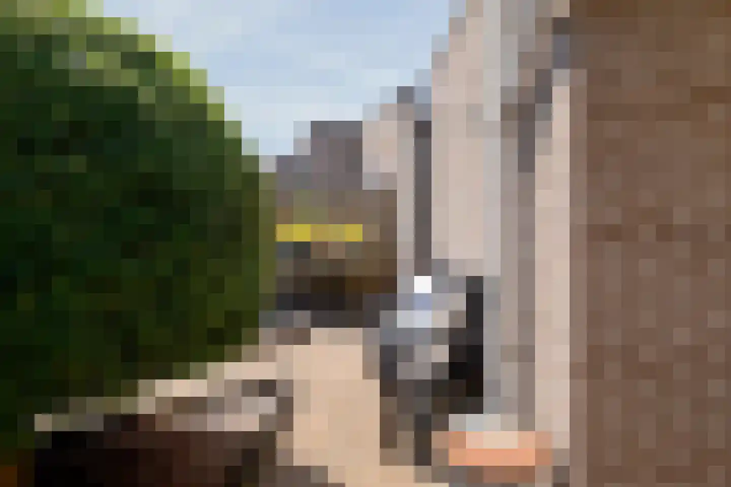 Briljantstoep 89 Assen thumbnail 50