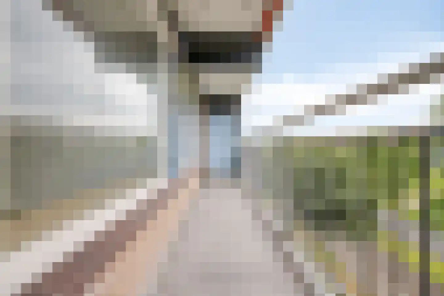 Briljantstraat 102 Alphen aan den Rijn thumbnail 24