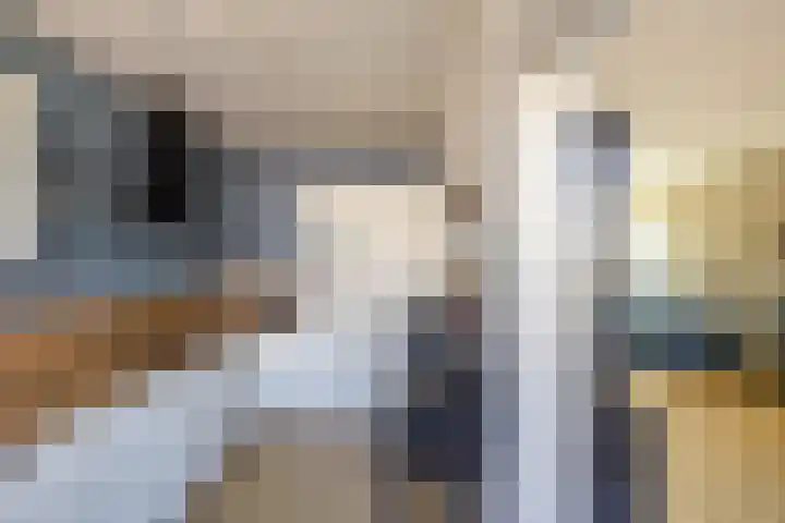 Briljantstraat 117 Groningen thumbnail 10