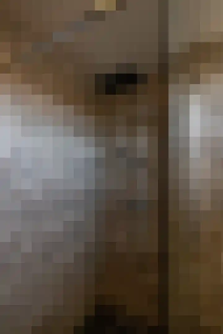 Briljantstraat 117 Groningen thumbnail 20