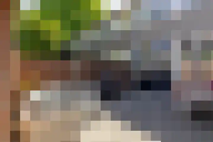Briljantstraat 117 Groningen thumbnail 28