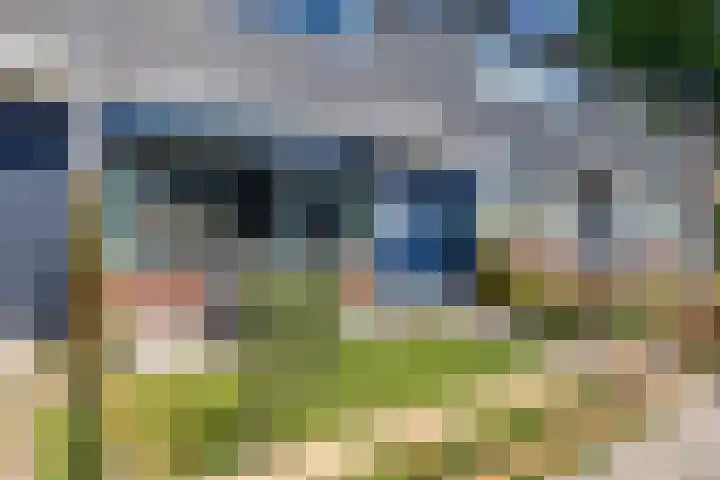 Briljantstraat 117 Groningen thumbnail 31
