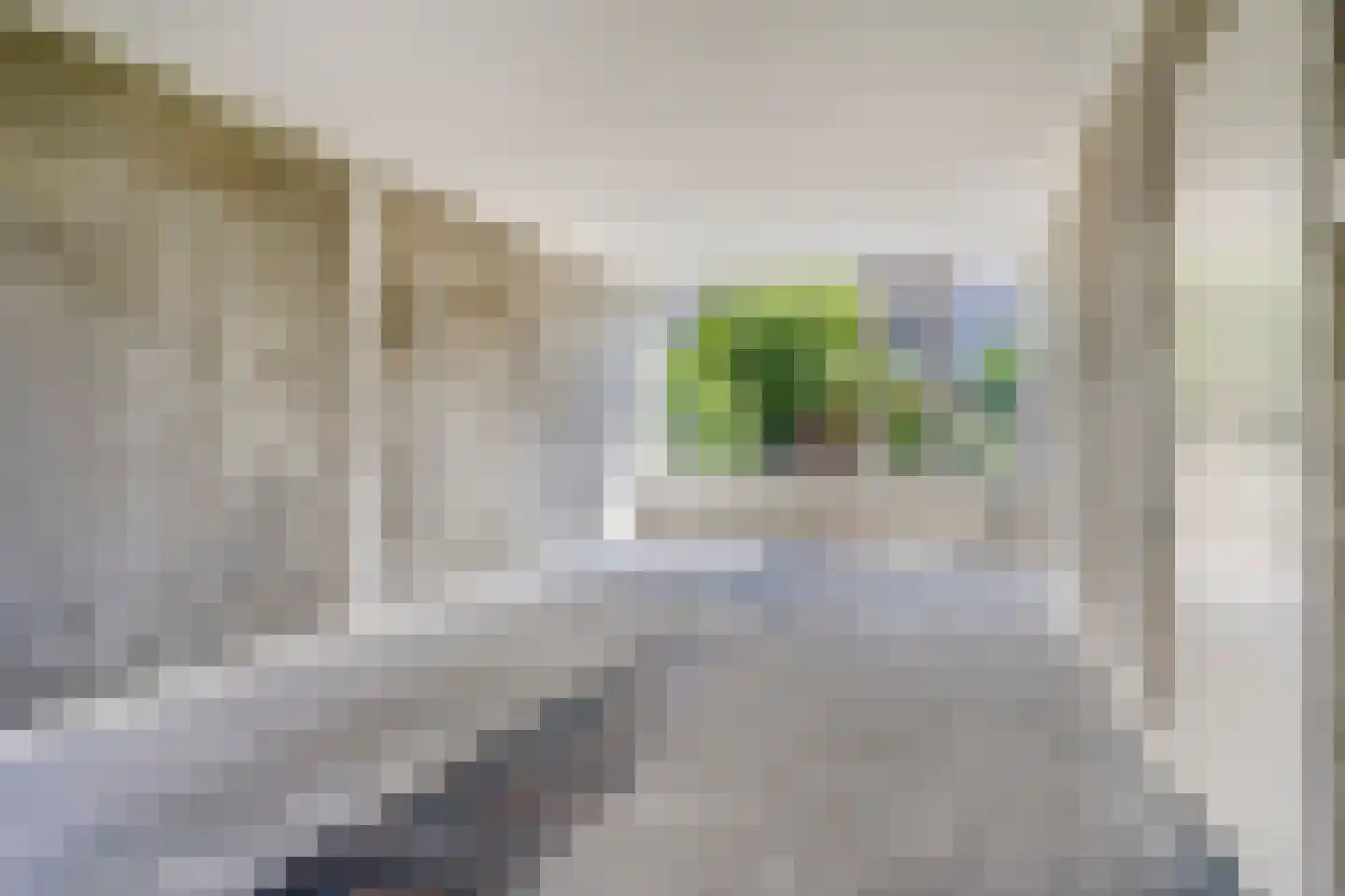 Briljantstraat 137 Groningen thumbnail 11